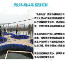 智慧農研引領未來 重慶工廠化高密度養(yǎng)魚的創(chuàng)新實踐