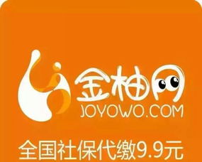 金柚網 最低9塊9，代繳全國社保公積金，為重慶信息咨詢服務賦能